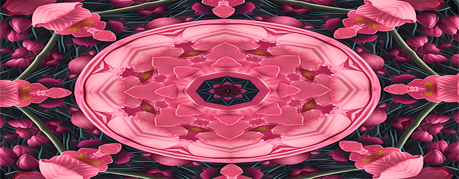 Escenario del videomapping, Las Medias de los Flamingos